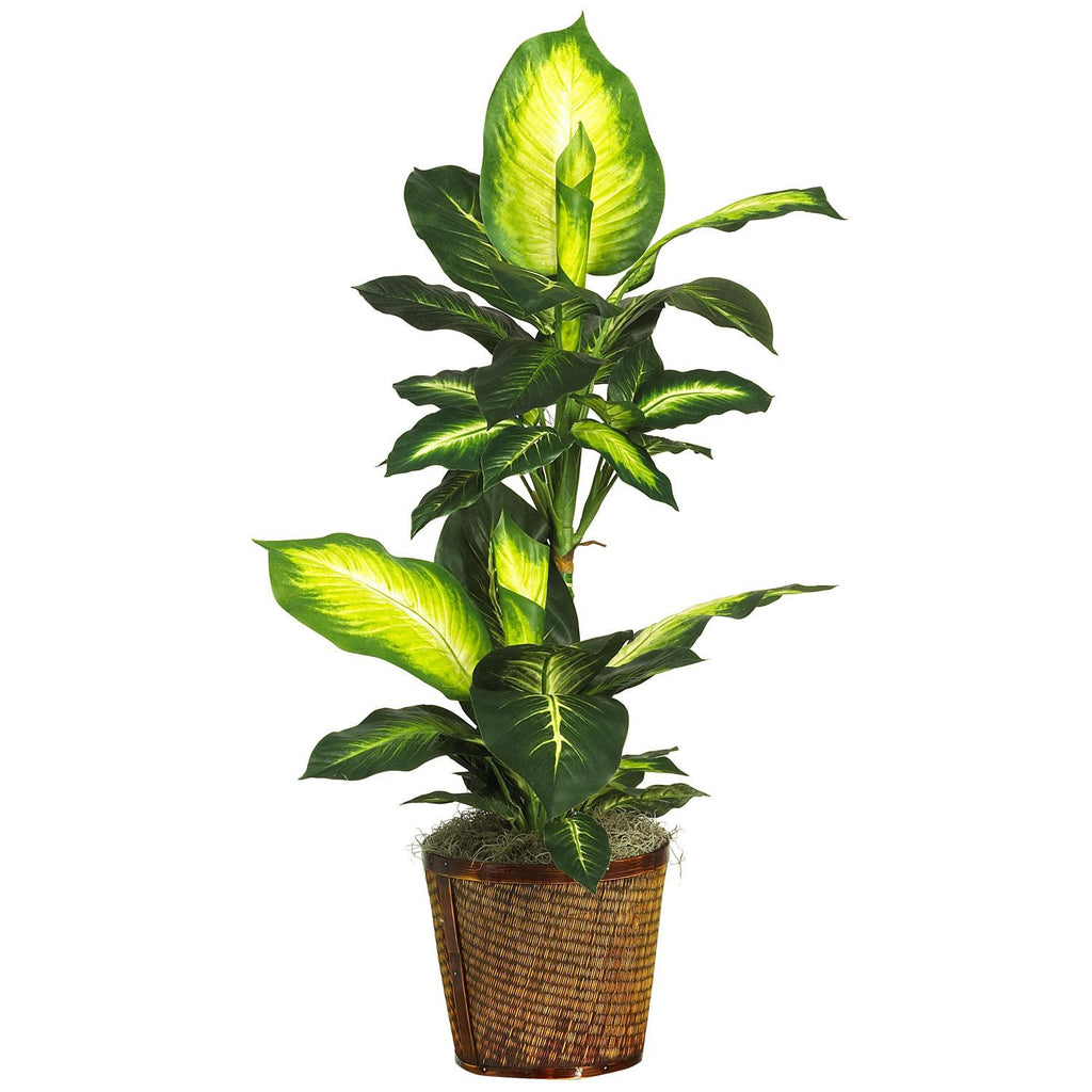 42" Golden Dieffenbachia w-Basket Silk Plant