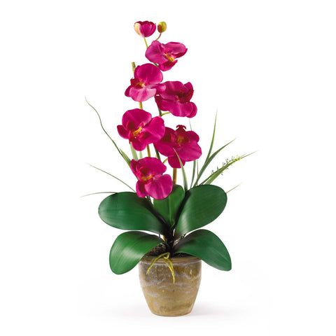 Single Stem Phalaenopsis Silk Orchid Arrangement