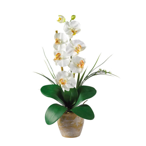 Single Stem Phalaenopsis Silk Orchid Arrangement