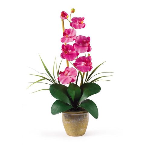 Single Stem Phalaenopsis Silk Orchid Arrangement