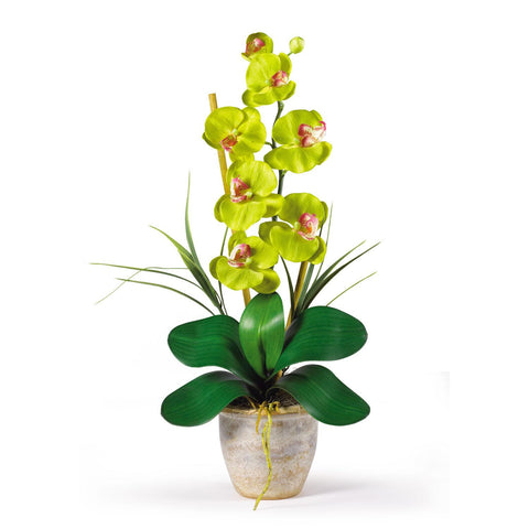 Single Stem Phalaenopsis Silk Orchid Arrangement