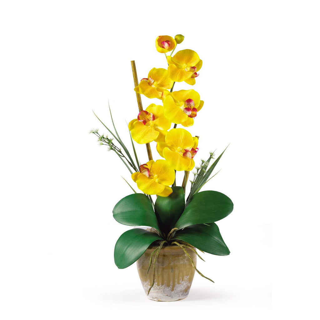 Single Stem Phalaenopsis Silk Orchid Arrangement