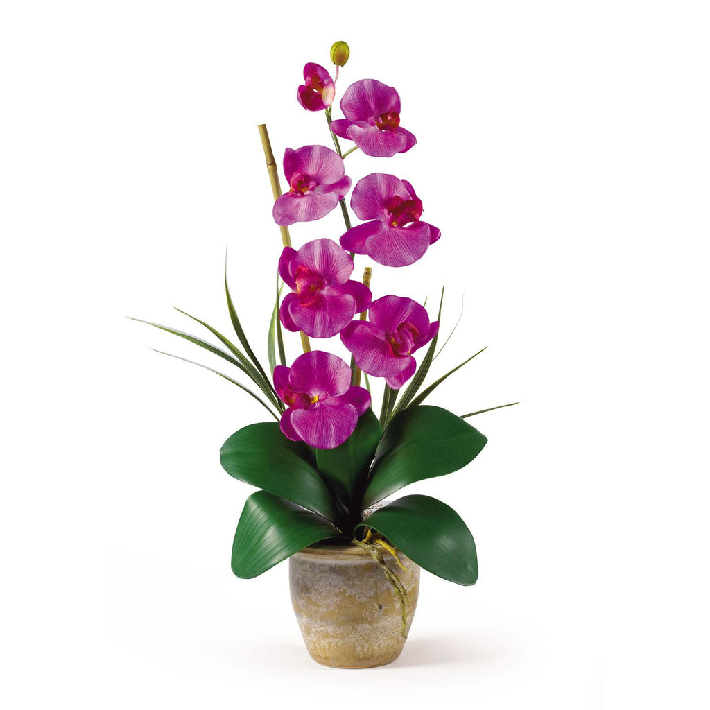 Single Stem Phalaenopsis Silk Orchid Arrangement