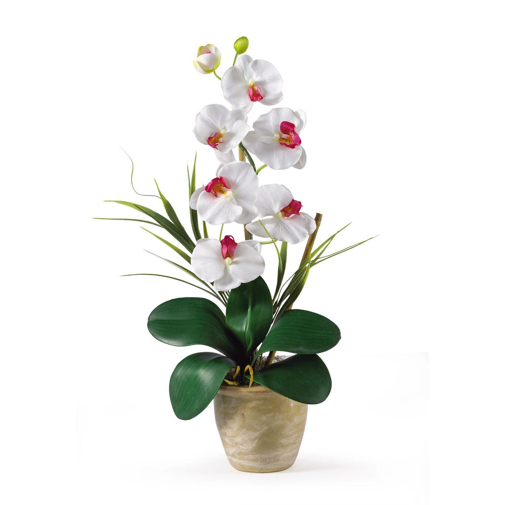 Single Stem Phalaenopsis Silk Orchid Arrangement