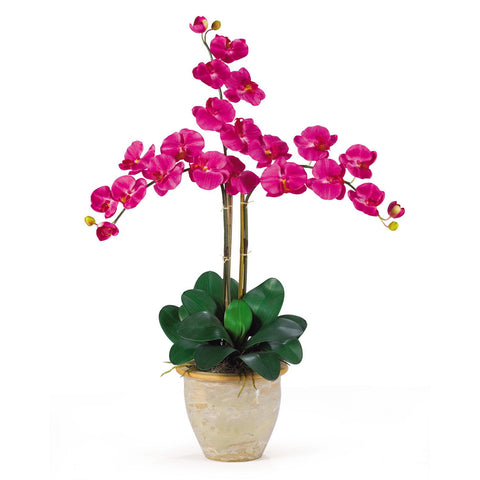 Triple Stem Phalaenopsis Silk Orchid Arrangement