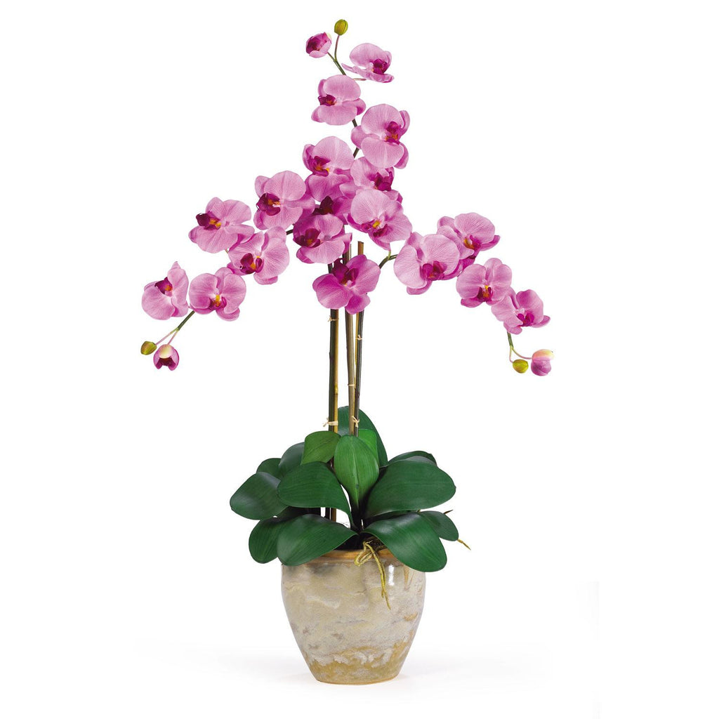 Triple Stem Phalaenopsis Silk Orchid Arrangement