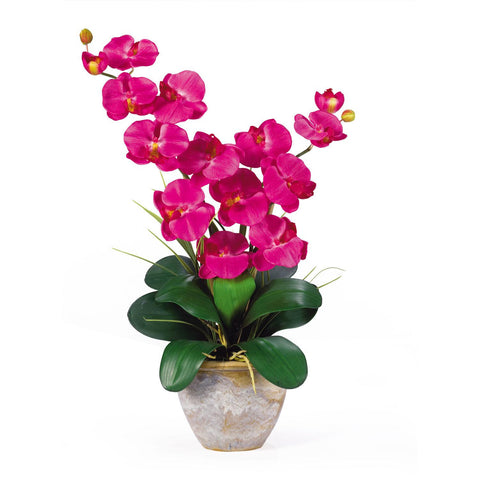 Double Stem Phalaenopsis Silk Orchid Arrangement