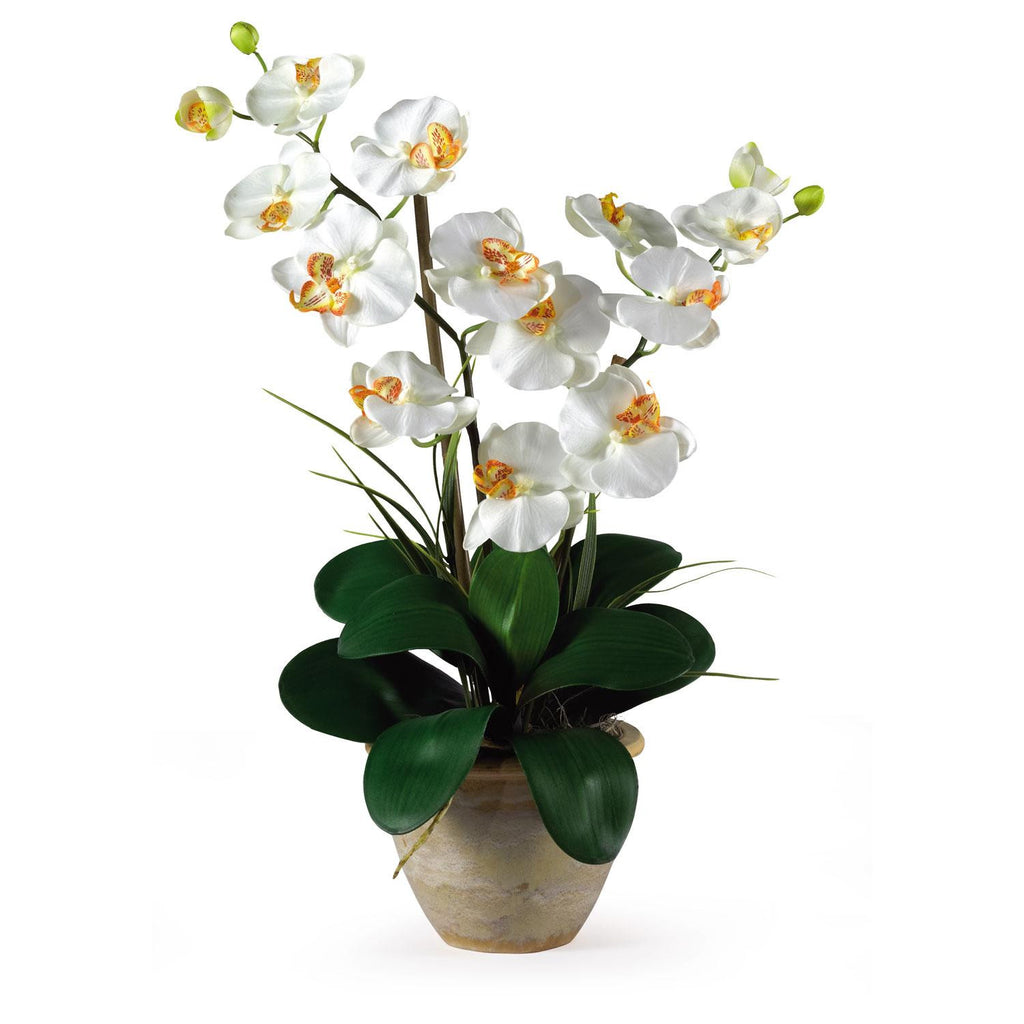 Double Stem Phalaenopsis Silk Orchid Arrangement