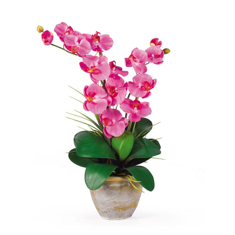 Double Stem Phalaenopsis Silk Orchid Arrangement