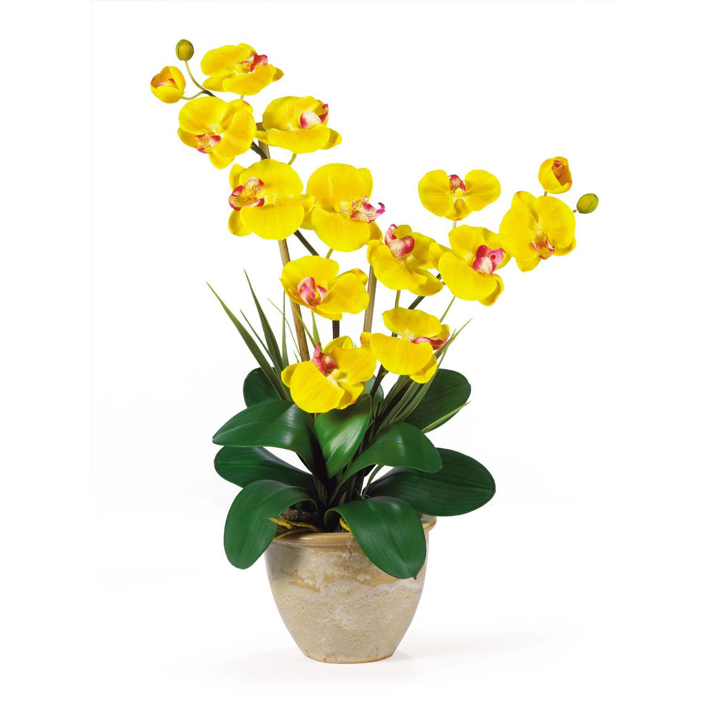 Double Stem Phalaenopsis Silk Orchid Arrangement