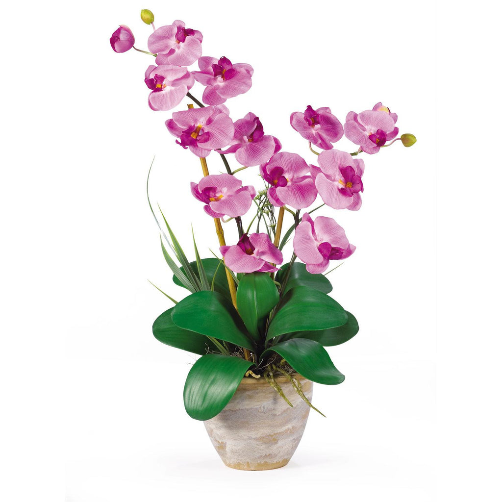 Double Stem Phalaenopsis Silk Orchid Arrangement