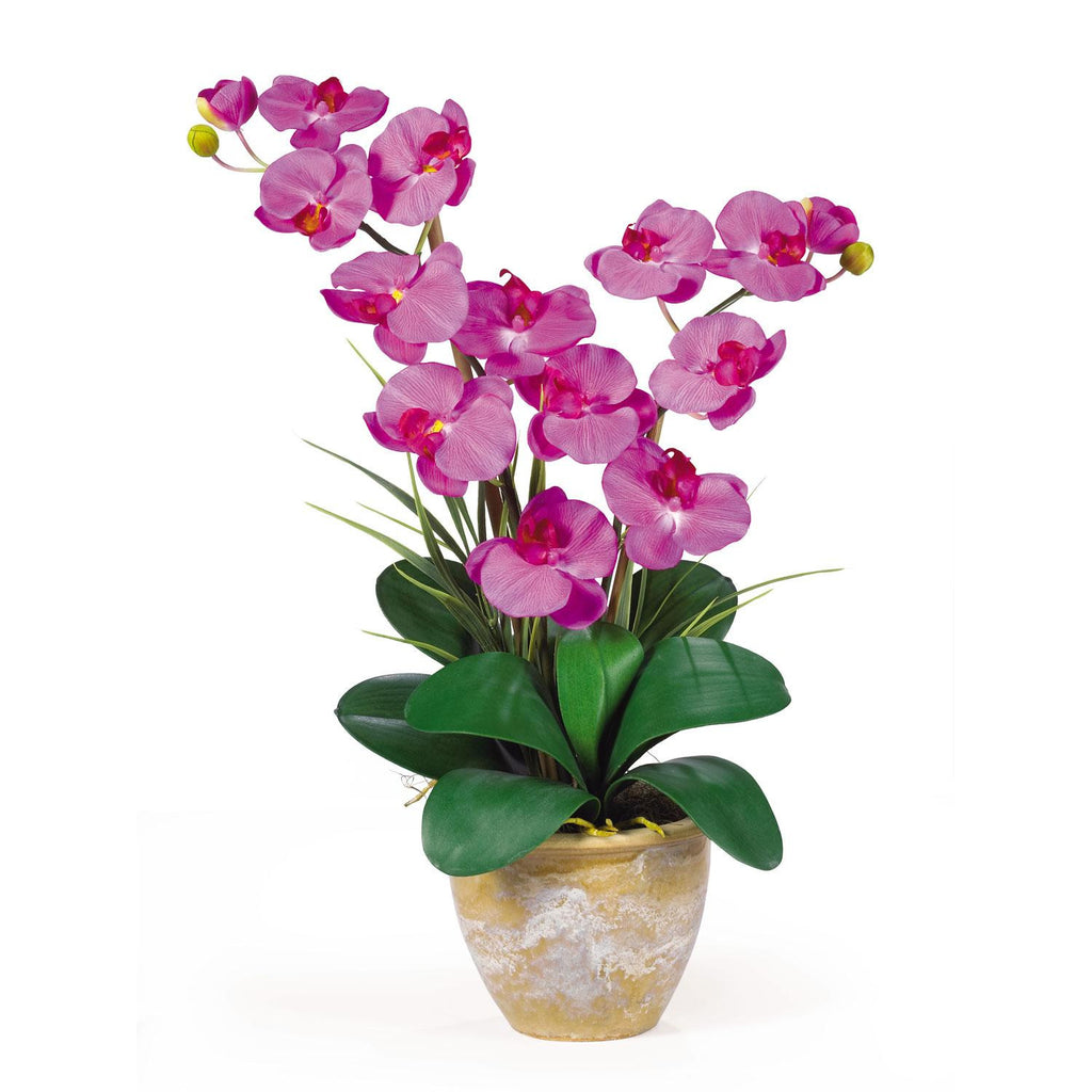 Double Stem Phalaenopsis Silk Orchid Arrangement