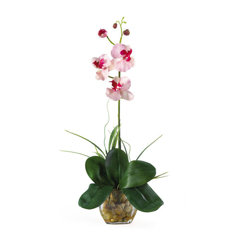 Mini Phalaenopsis Liquid Illusion Silk Orchid Arrangement