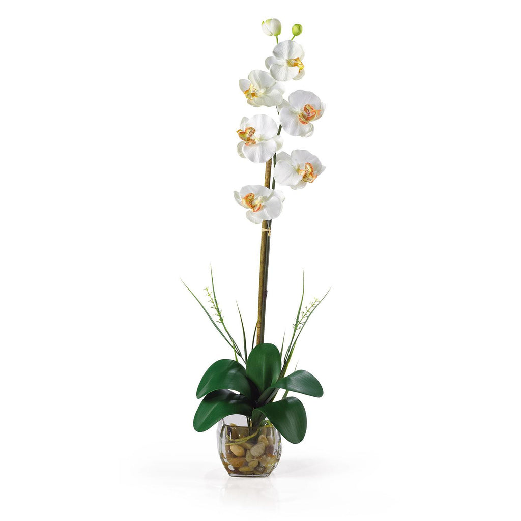 Single Phalaenopsis Liquid Illusion Silk Flower Arrangement