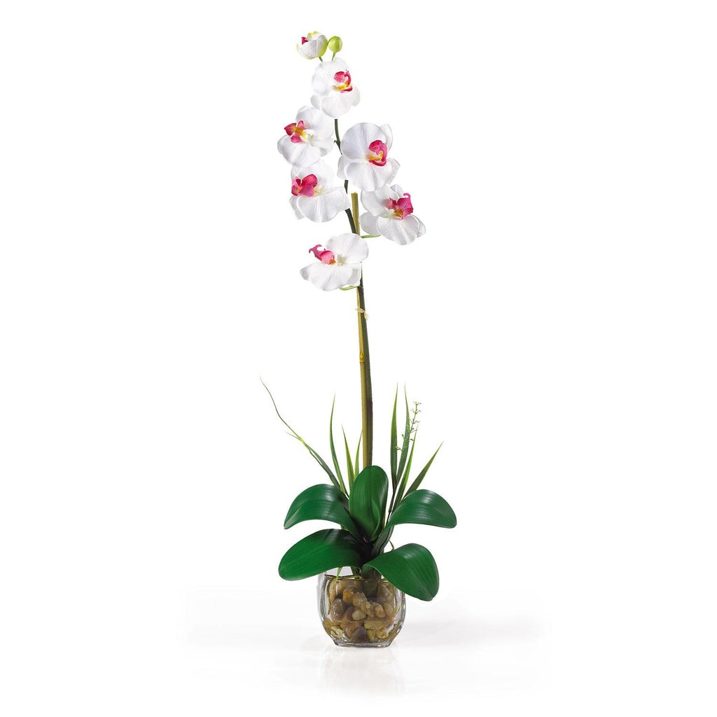 Single Phalaenopsis Liquid Illusion Silk Flower Arrangement