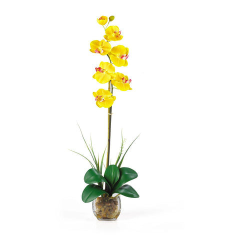 Single Phalaenopsis Liquid Illusion Silk Flower Arrangement