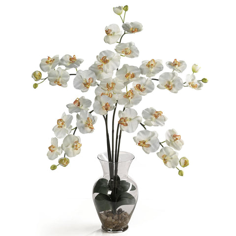 Phalaenopsis Liquid Illusion Silk Flower Arrangement