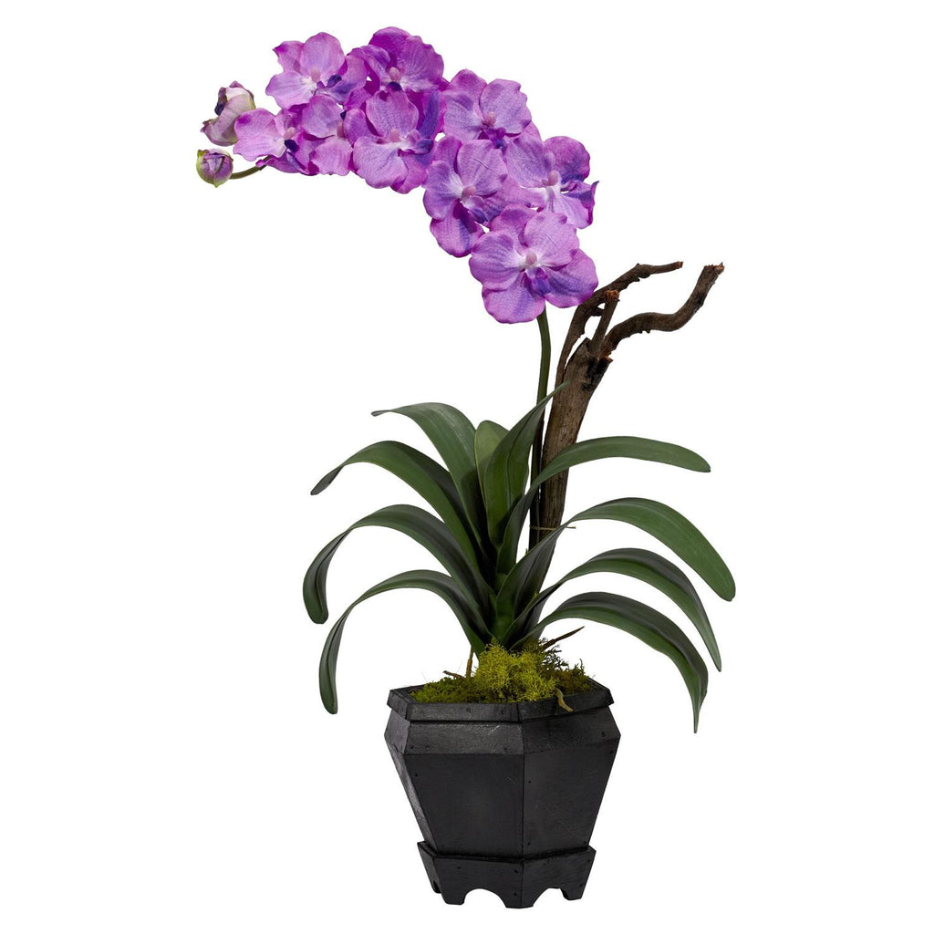 Vanda w-Black Hexagon Vase Silk Arrangement