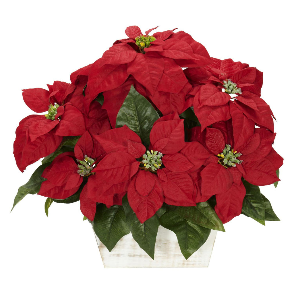 Poinsettia w-White Wash Planter Silk Arrangement