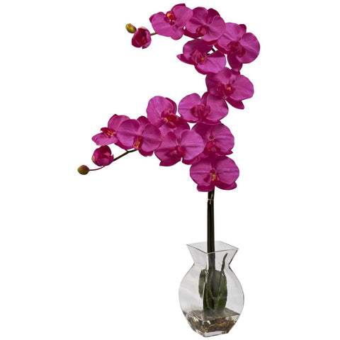 Phalaenopsis Orchid w-Vase Arrangement