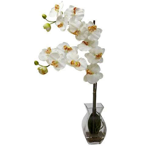 Phalaenopsis Orchid w-Vase Arrangement