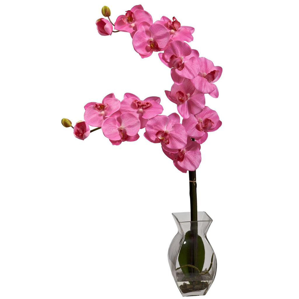 Phalaenopsis Orchid w-Vase Arrangement