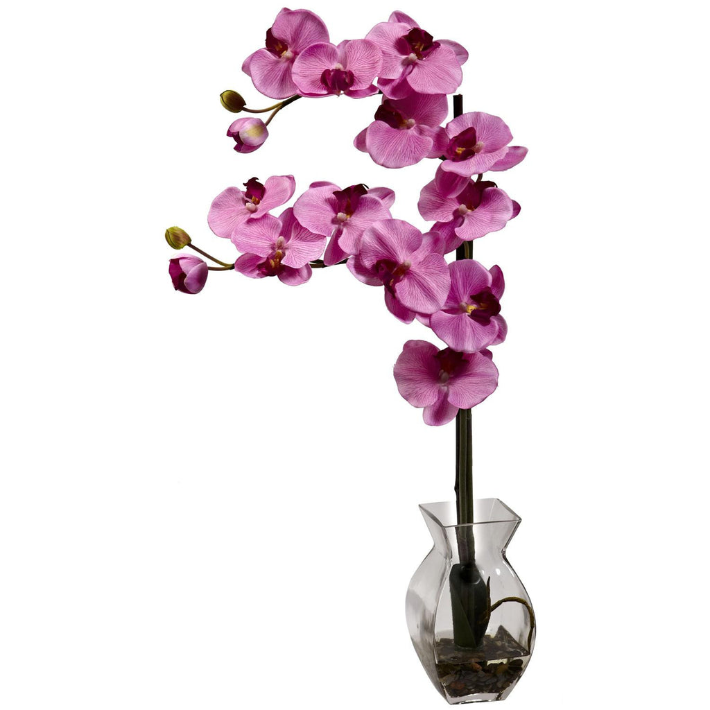 Phalaenopsis Orchid w-Vase Arrangement