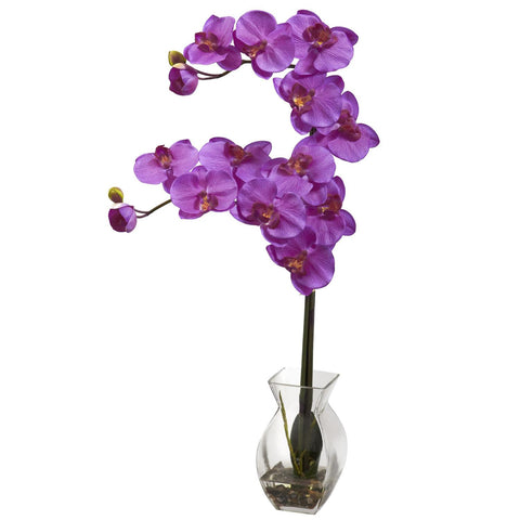 Phalaenopsis Orchid w-Vase Arrangement