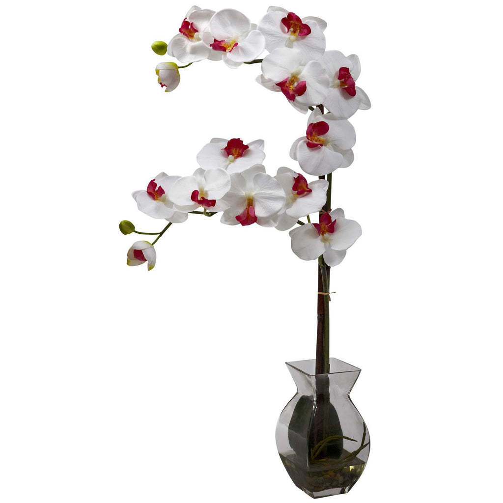 Phalaenopsis Orchid w-Vase Arrangement