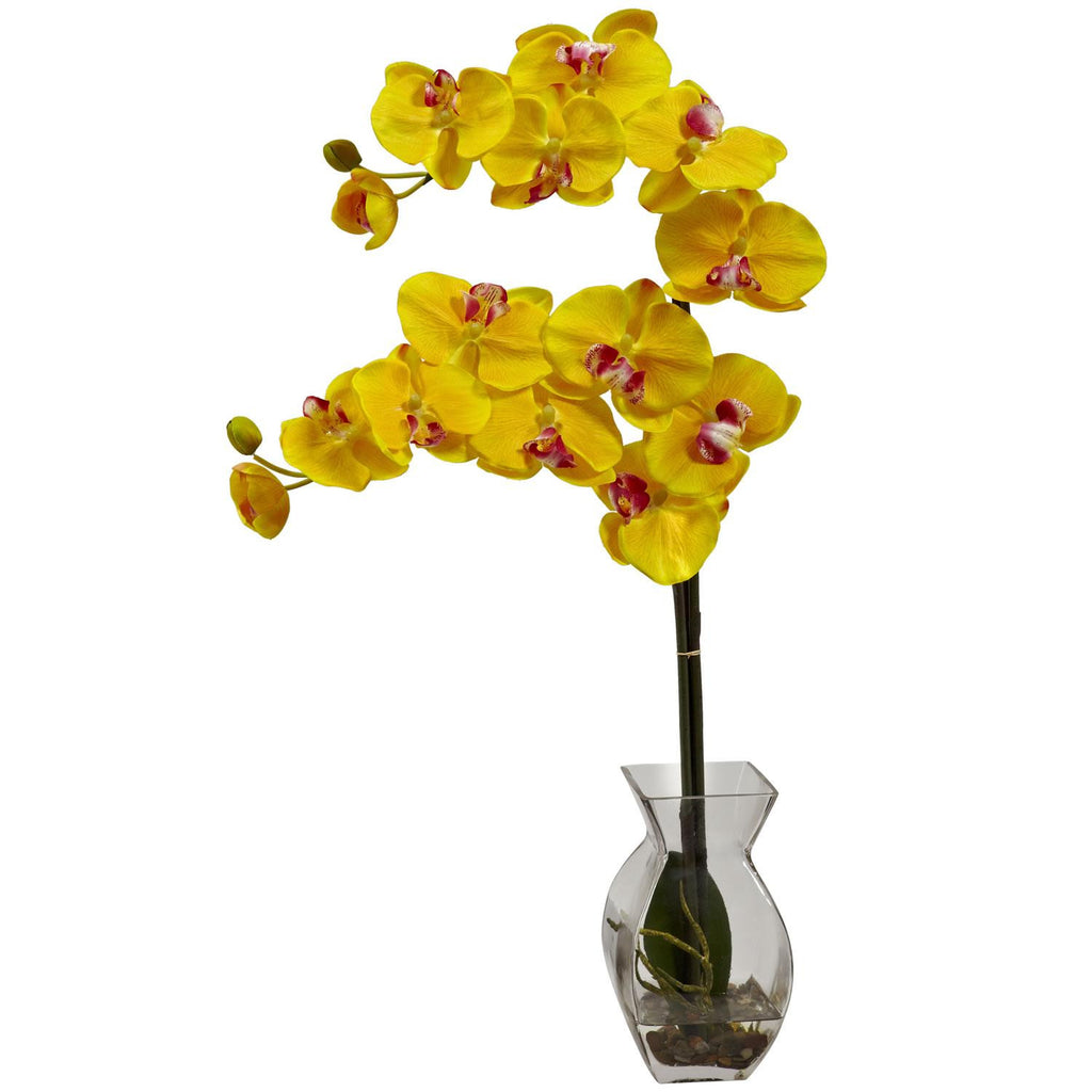 Phalaenopsis Orchid w-Vase Arrangement