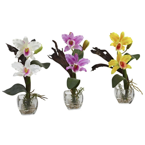 Mini Cattleya Orchid Arrangement (Set of 3)