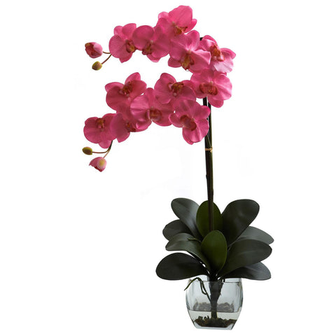 Double Phal Orchid w-Vase Arrangement