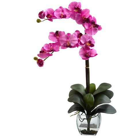 Double Phal Orchid w-Vase Arrangement