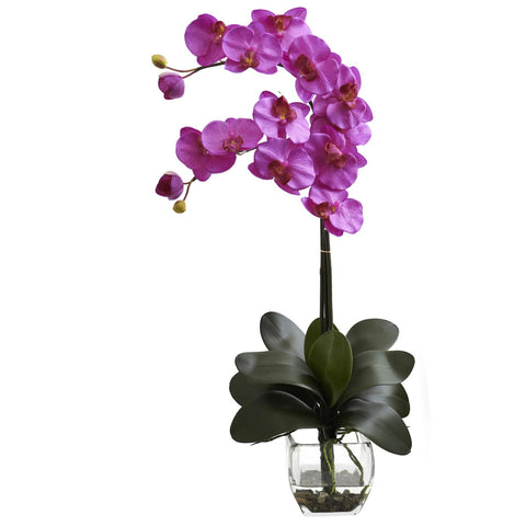 Double Phal Orchid w-Vase Arrangement