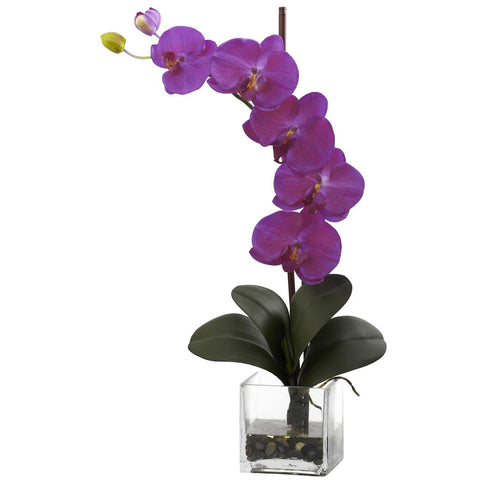 Giant Phal Orchid w-Vase Arrangement