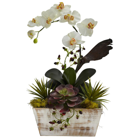 Orchid & Succulent Garden w-White Wash Planter