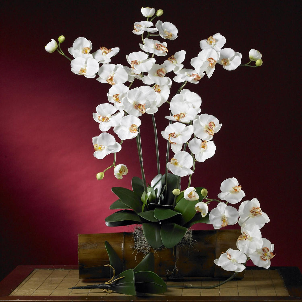 Phalaenopsis Silk Orchid Flower w-Leaves (6 Stems)