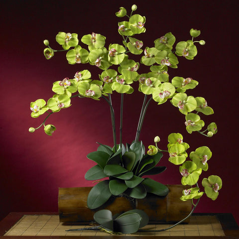 Phalaenopsis Silk Orchid Flower w-Leaves (6 Stems)