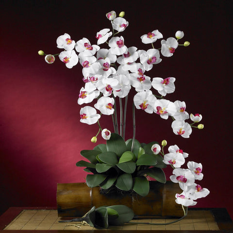 Phalaenopsis Silk Orchid Flower w-Leaves (6 Stems)