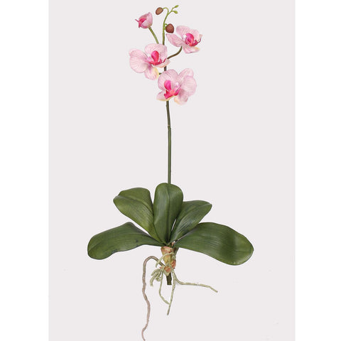 Mini Phalaenopsis Silk Orchid Flower w-Leaves (6 Stems)