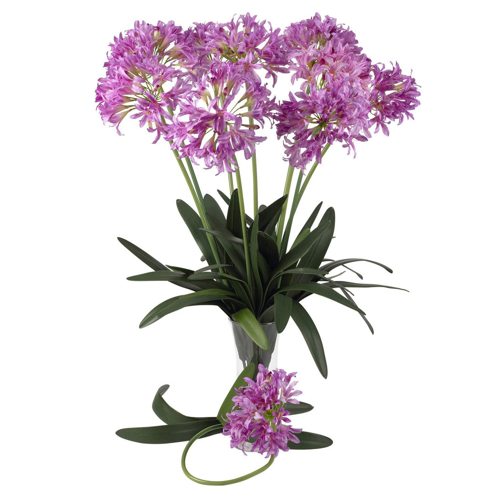 29" African Lily Stem (Set of 12)