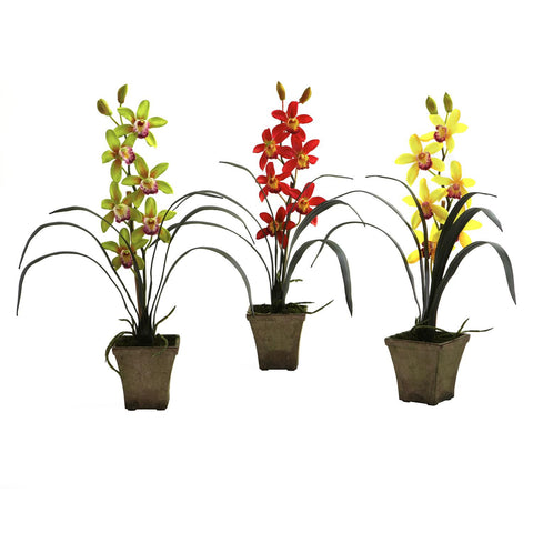 Cymbidium Orchid w-Vase (Set of 3)