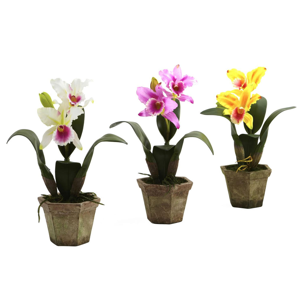 Cattelya Orchid w-Vase (Set of 3)