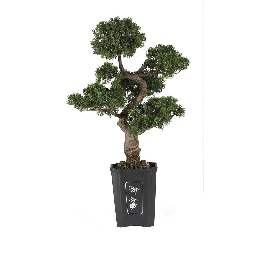 Cedar Bonsai 36" Silk Plant