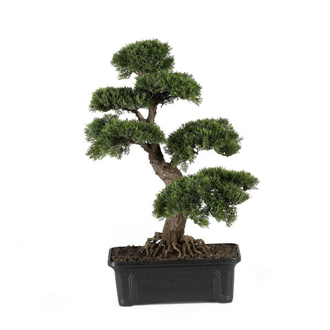 Cedar Bonsai 24" Silk Plant