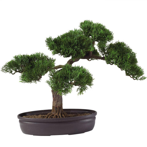 Cedar Bonsai 16" Silk Plant