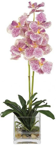 Vanda w-Glass Vase Silk Flower Arrangement