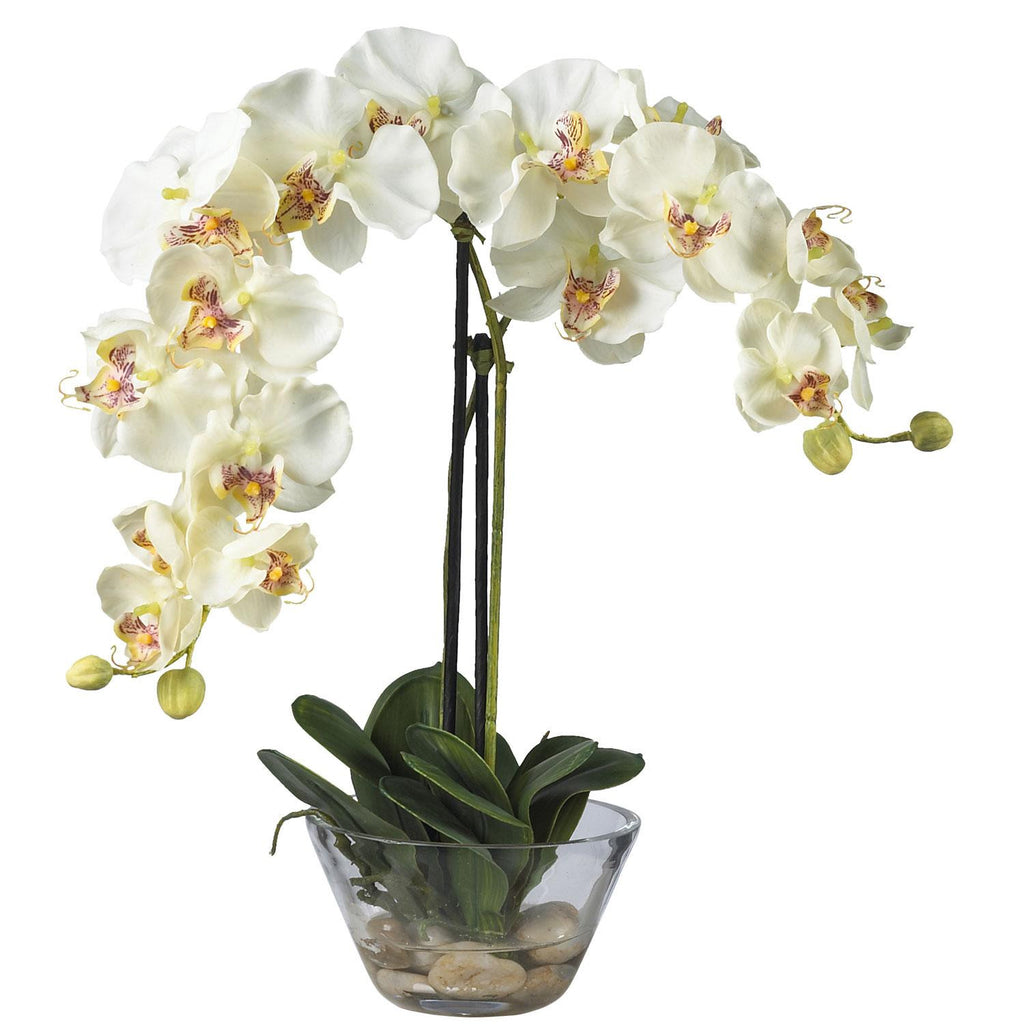 Phalaenopsis w-Glass Vase Silk Flower Arrangement