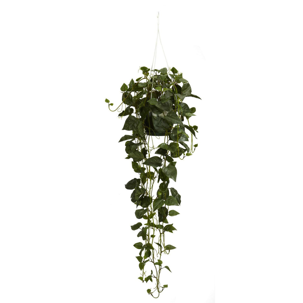 Philodendron Hanging Basket Silk Plant