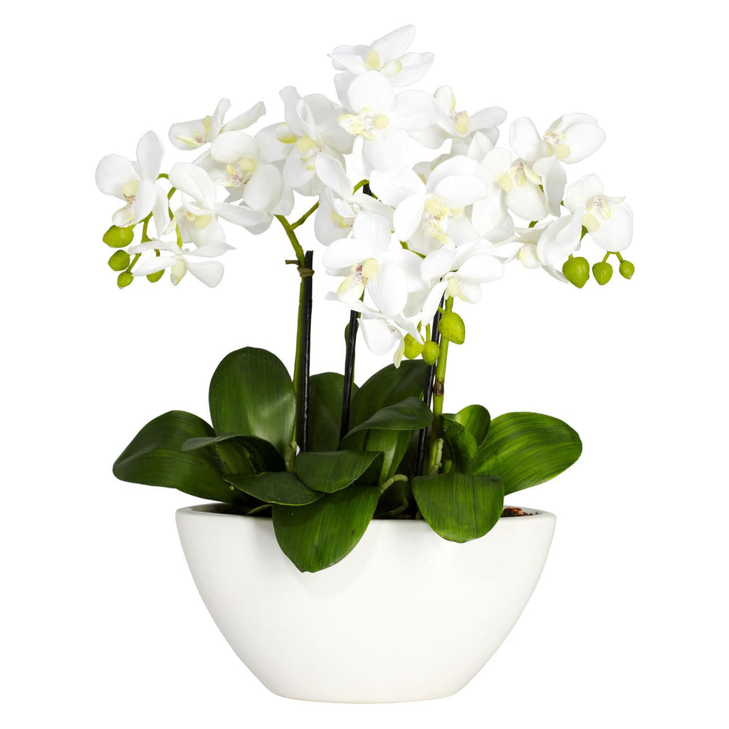 Phalaenopsis Silk Flower Arrangement